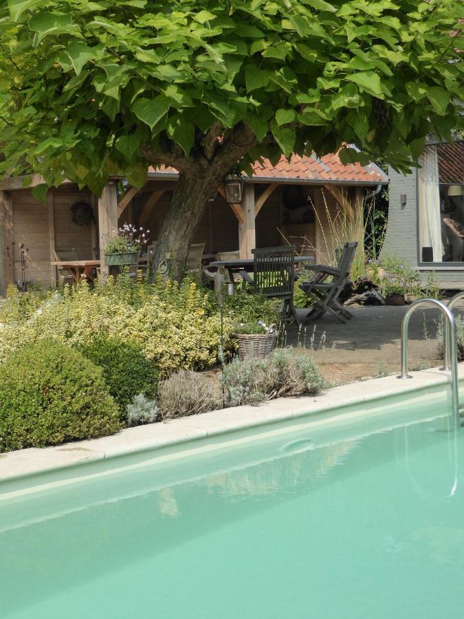 De Epicurist Bed & Breakfast Hasselt Exterior photo